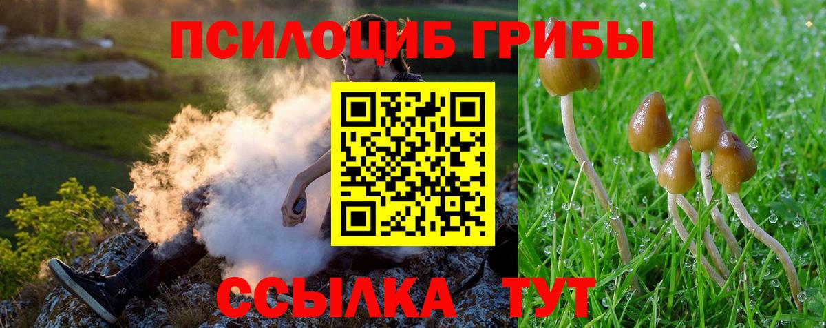 Псилоцибиновые грибы Psilocybine cubensis  Псилоцибиновые грибы ЛСД  Вход с VPN  Скопин 