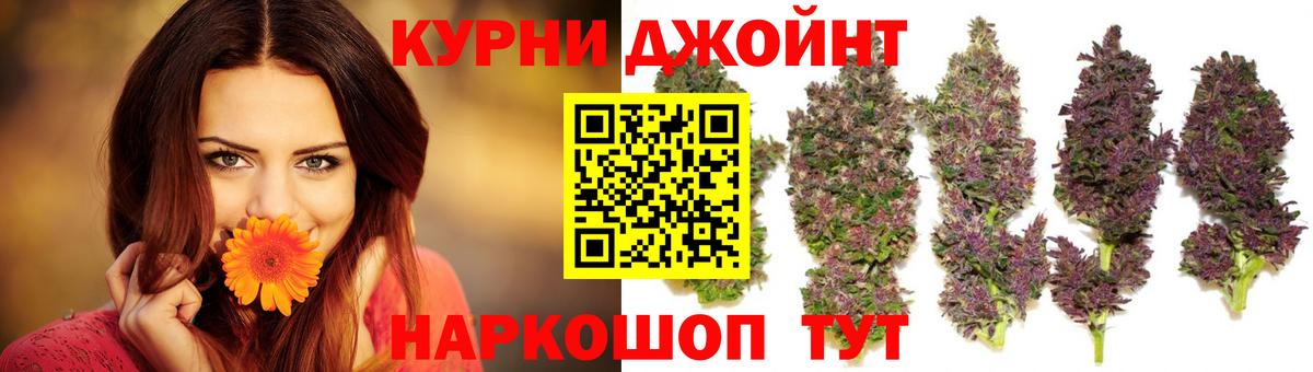 Конопля сатива Скопин